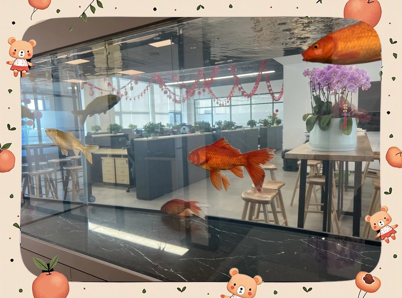 得了水霉病需要清缸嗎【養(yǎng)魚(yú)人的治療水霉病秘籍大揭秘!】