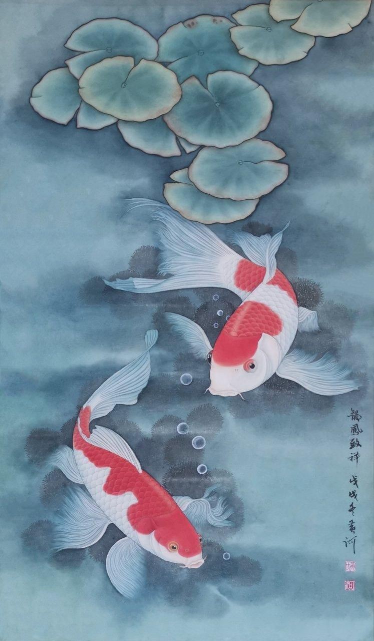 龍鳳錦鯉圖片【龍鳳錦鯉和蝴蝶鯉怎么區分】
