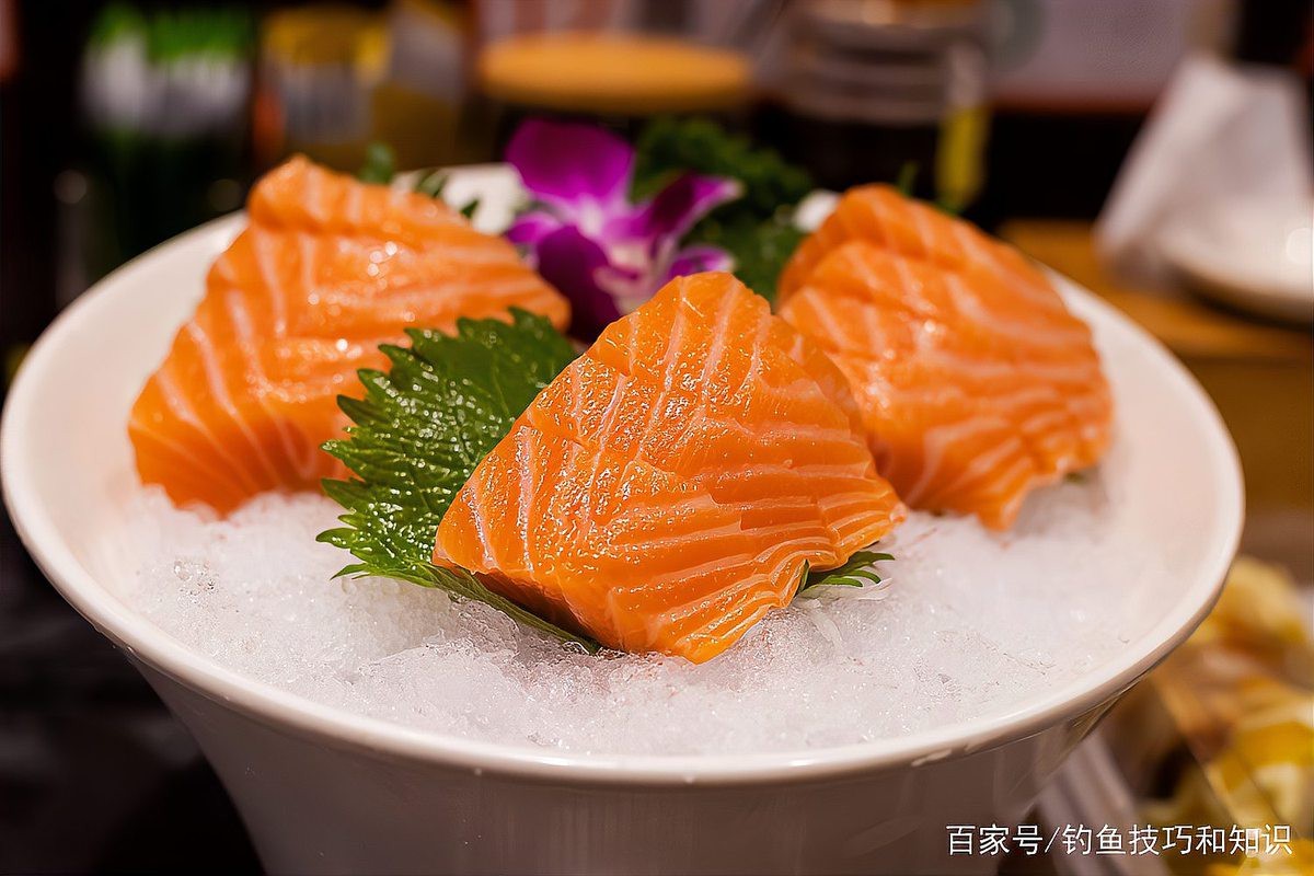 十大最補(bǔ)腦的魚(yú)【\