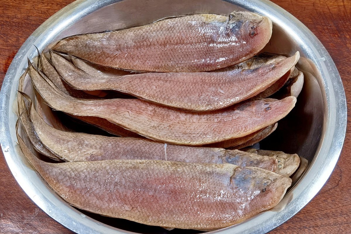 十大最補(bǔ)腦的魚(yú)【\