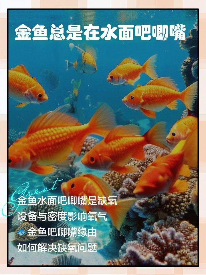 金魚在水面吧唧嘴特別響【金魚在水面上張嘴是什么原因】