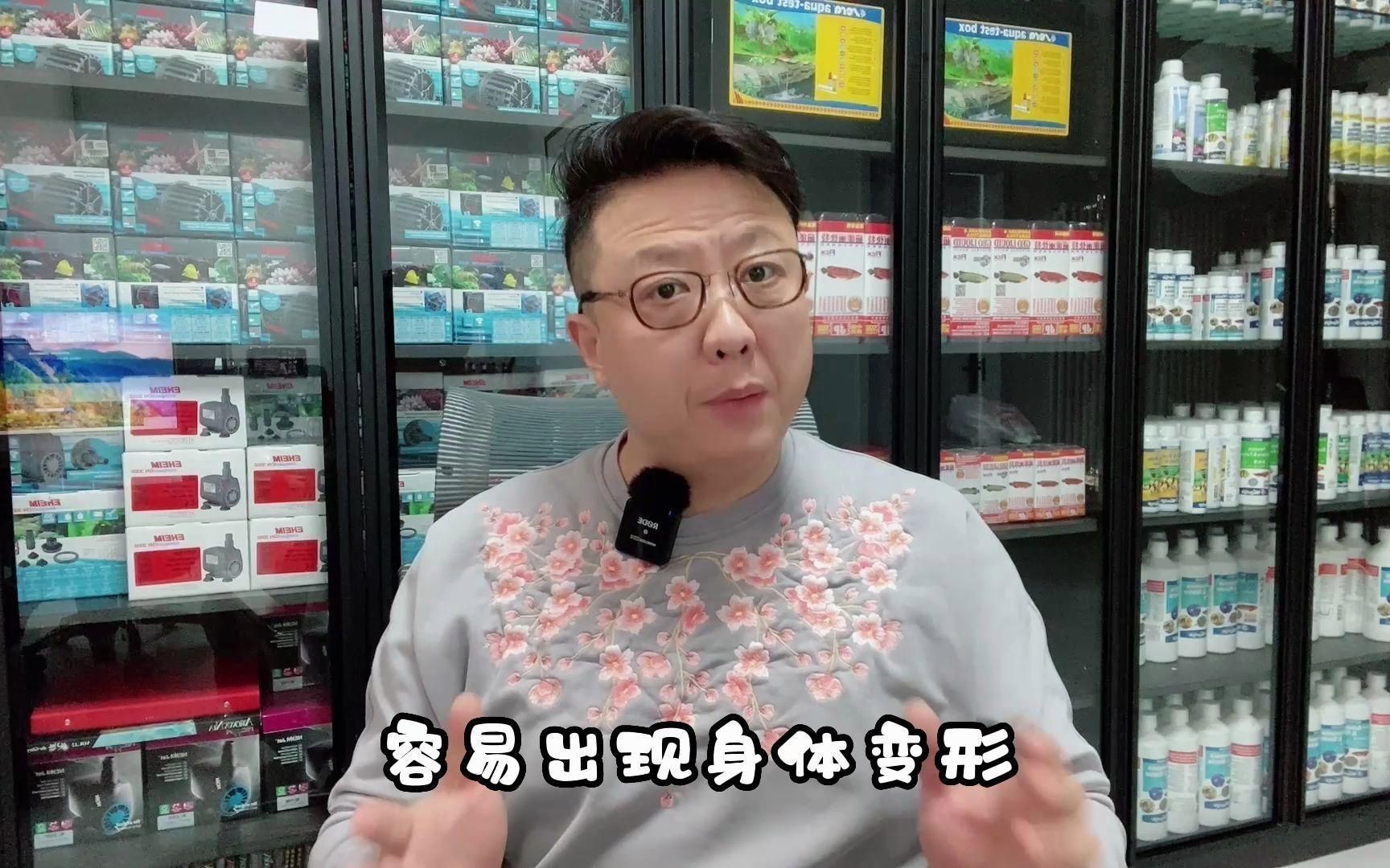 龍魚的最佳飼養(yǎng)溫度是多少？【第340話龍魚飼養(yǎng)最佳溫度嗶哩嗶哩】