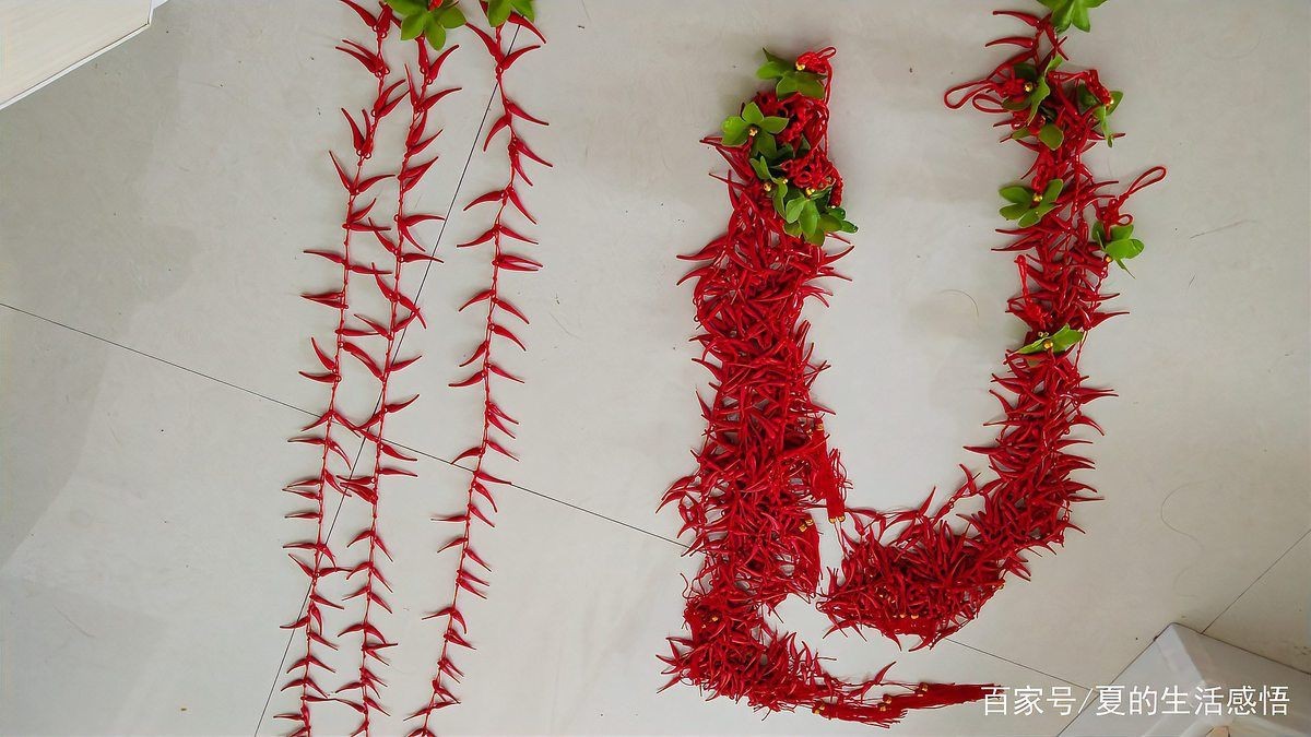 紅辣椒寓意和象征【《紅辣椒寓意和象征》】