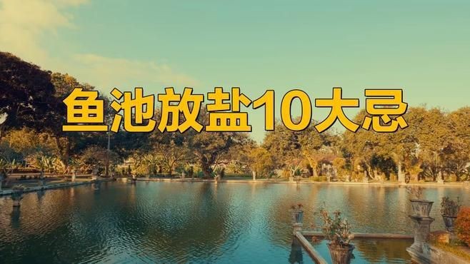 馬印水族魚鹽最忌三種東西【《馬印水族魚鹽最忌三種東西》】