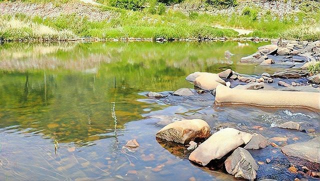 農村小河魚的品種大全【農村小河魚品種豐富多樣，已成為水族箱里的佼佼者】