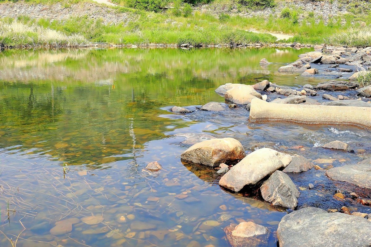 農村小河魚的品種大全【農村小河魚品種豐富多樣，已成為水族箱里的佼佼者】