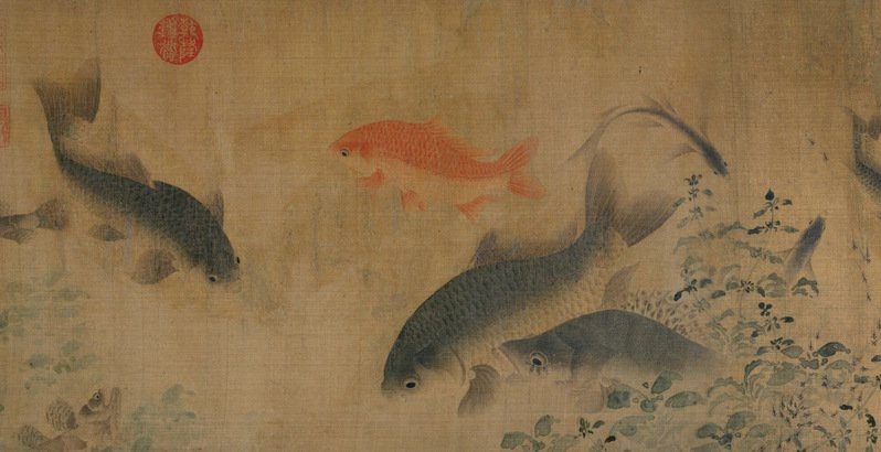 一般人會比喻做龍魚的嗎【《龍魚：水中\(zhòng)