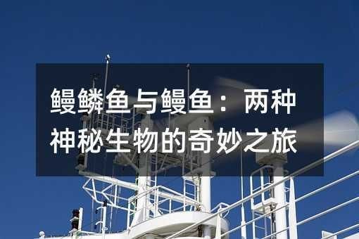 鰻鱗魚和鰻魚是一種魚嗎【鰻魚和鰻魚是一種魚嗎】