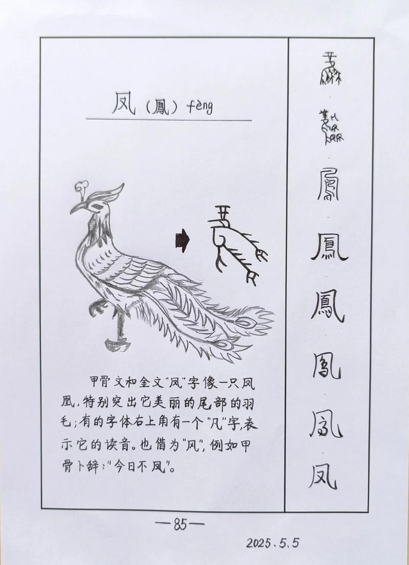 飛鳳直紋和斜紋圖片【飛鳳直紋與斜紋圖片展現了獨特的紋理與設計魅力】