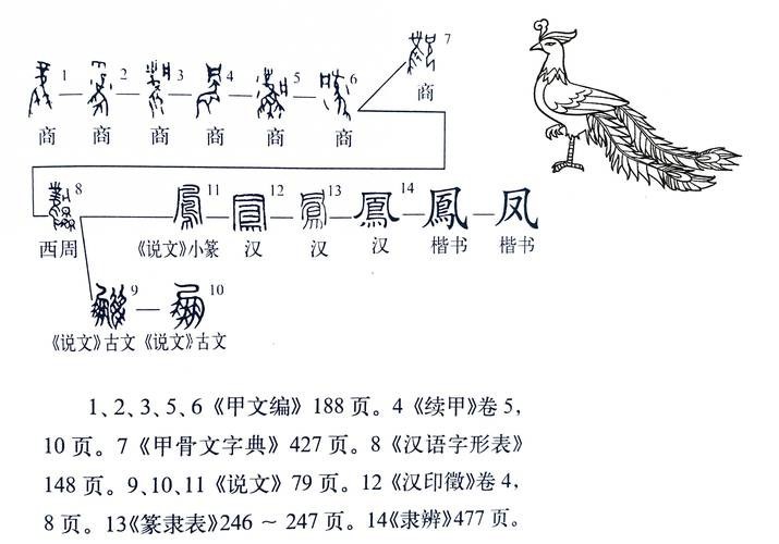 飛鳳直紋和斜紋圖片【飛鳳直紋與斜紋圖片展現了獨特的紋理與設計魅力】