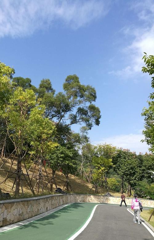治療期間換水過多或過少會(huì)有哪些影響，治療期間飲水過多或過多或過少，飲水過多會(huì)對(duì)身體有影響