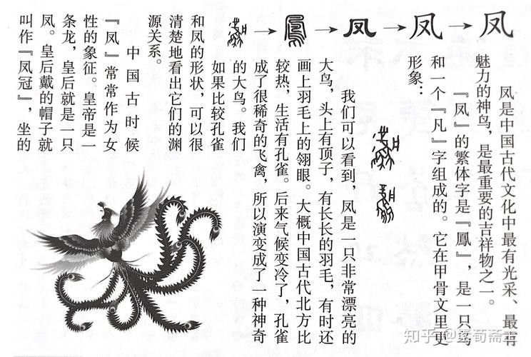 飛鳳直紋和斜紋圖片【飛鳳直紋與斜紋圖片展現了獨特的紋理與設計魅力】
