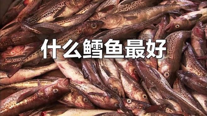 哪種鱈魚適合嬰兒吃【7種鱈魚營養(yǎng)pk,值得買的是…】