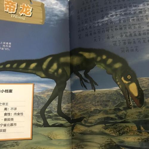 給我一些帝龍的圖片【帝龍化石發現的具體地點，帝龍與哪些恐龍關系近】