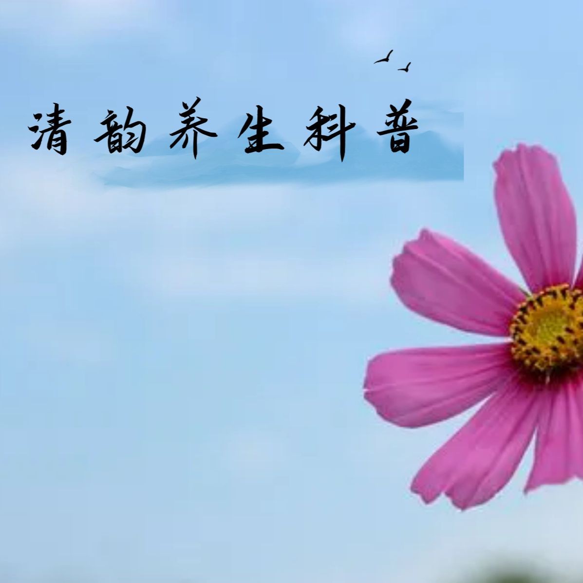 虎魚可以去濕氣嗎【虎魚不能去濕氣，**，虎魚的功效與作用】