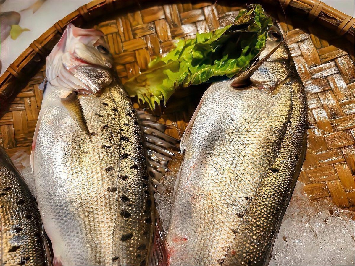 虎魚可以去濕氣嗎【虎魚不能去濕氣，**，虎魚的功效與作用】