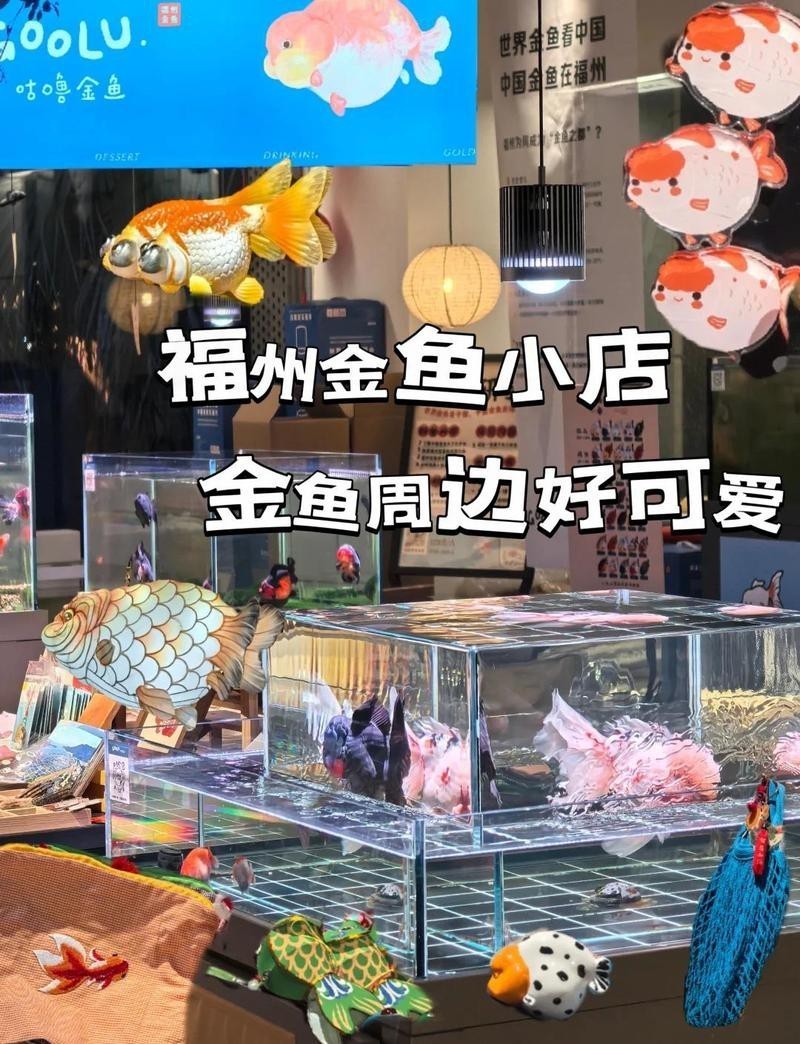 附近賣金魚的店【北京市附近售賣金魚店鋪綜合信息整理，金魚熱帶魚貓糧狗糧】