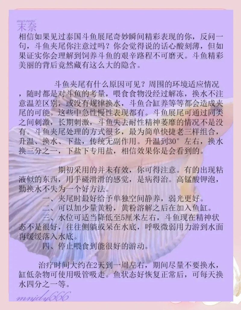 魚沉尾最快最怕三個東西【《魚沉尾最快最怕三個東西》】