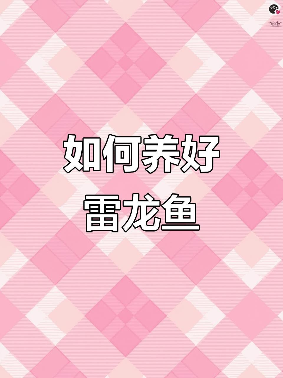 哪種雷龍魚最適合新手飼養？【新手養雷龍全攻略，黃金眼鏡蛇雷龍魚最值得養的三大品種】