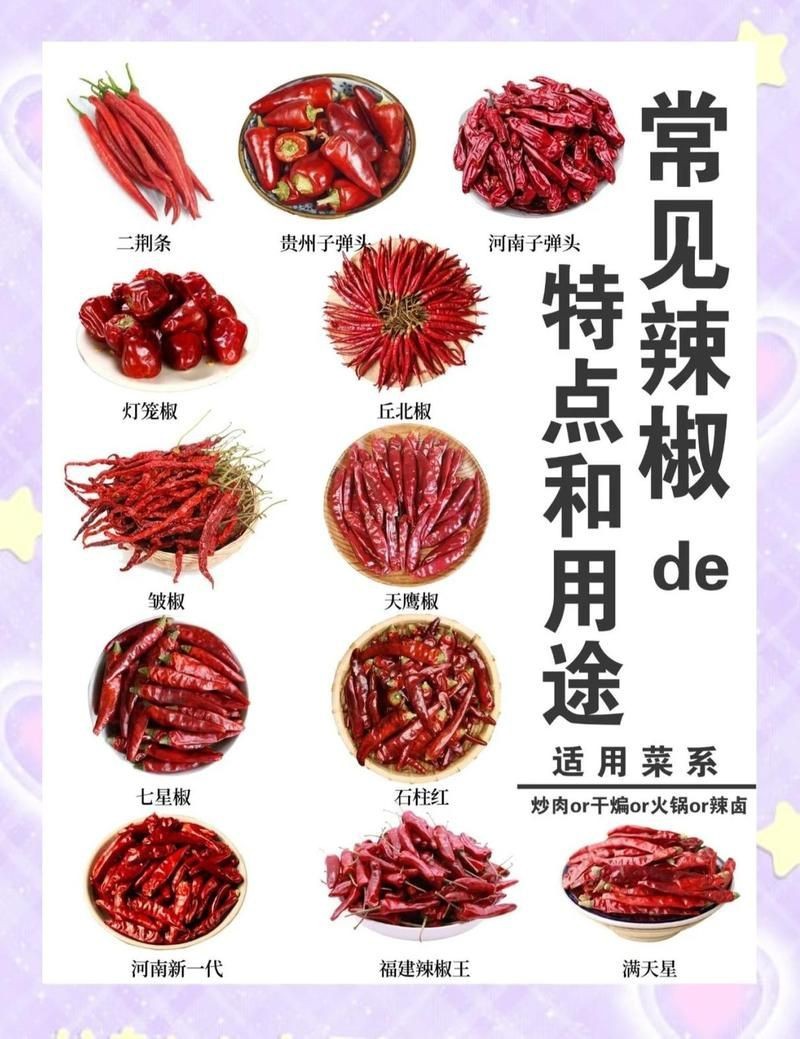 辣椒品種大全及名稱【辣椒品種豐富多樣，】