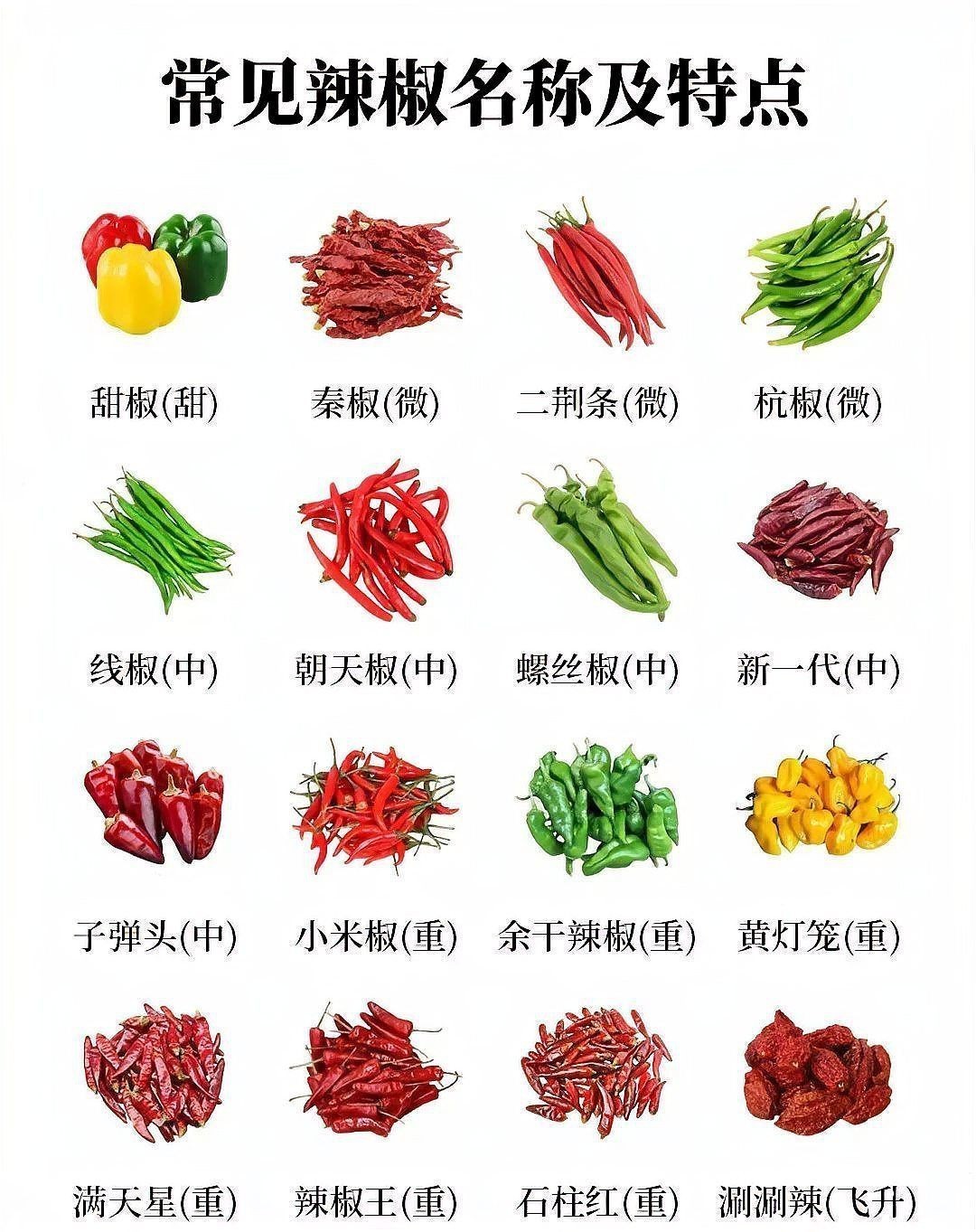 辣椒品種大全及名稱【辣椒品種豐富多樣，】