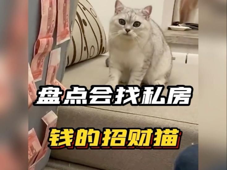 迷你招財貓 超小會動【《迷你招財貓：超小卻靈動會動》】