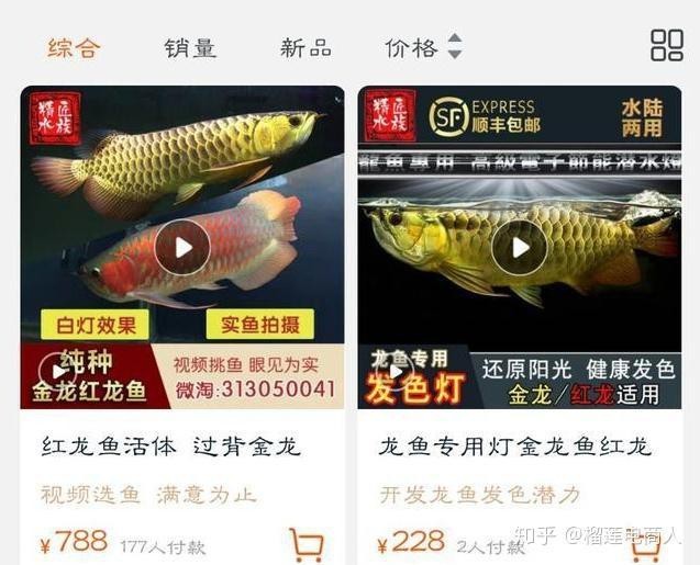 24K金龍魚貴還是24K金龍魚貴【24k金龍魚貴是24k金龍魚貴還是24k金龍魚貴】