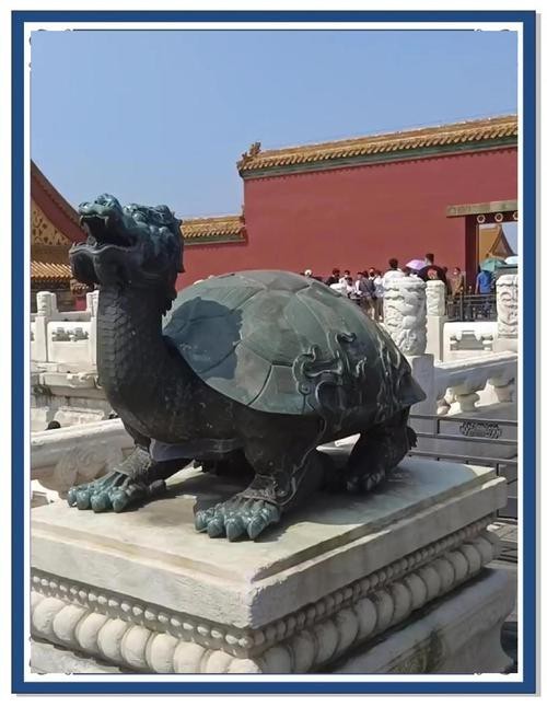 龍龜?shù)某蛘_圖【關(guān)于龍龜?shù)某蛘_圖】 龍龜?shù)某蛘_圖【關(guān)于龍龜?shù)某蛘_圖】 龍魚論壇 第23張