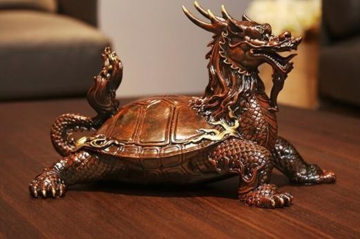 龍龜?shù)某蛘_圖【關(guān)于龍龜?shù)某蛘_圖】 龍龜?shù)某蛘_圖【關(guān)于龍龜?shù)某蛘_圖】 龍魚論壇 第27張