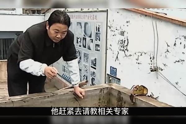 四腳魚多少錢一只【四腳怪魚的價(jià)格】 四腳魚多少錢一只【四腳怪魚的價(jià)格】 龍魚論壇 第3張