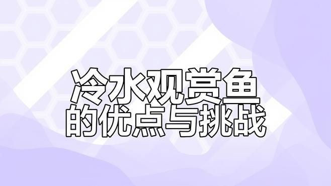 能再詳細介紹幾種冷水觀賞魚嗎？【冷水觀賞魚有哪些種類】