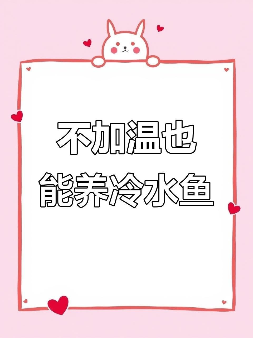 能再詳細介紹幾種冷水觀賞魚嗎？【冷水觀賞魚有哪些種類】