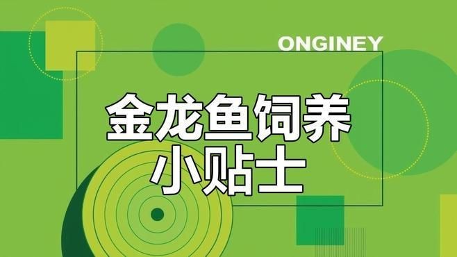 藍底金龍快沒了最簡單恢復方法【藍底金龍圖案若快沒了，有簡單恢復方法，】