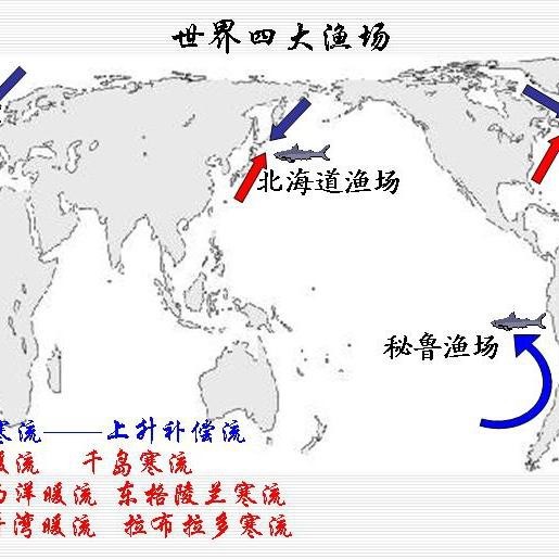 四大漁場(chǎng)是哪四個(gè)【世界四大漁場(chǎng)】