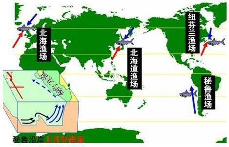 四大漁場(chǎng)是哪四個(gè)【世界四大漁場(chǎng)】