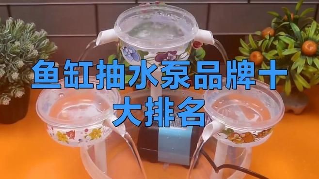 哪種牌子的水族箱水泵最靜音【什么牌子的水族箱水泵最靜音】