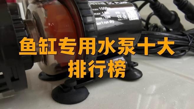 哪種牌子的水族箱水泵最靜音【什么牌子的水族箱水泵最靜音】