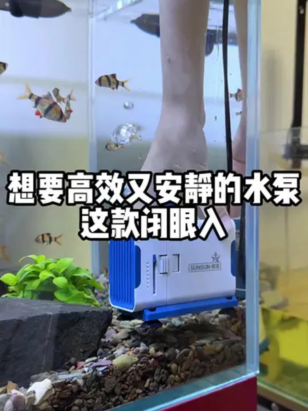 哪種牌子的水族箱水泵最靜音【什么牌子的水族箱水泵最靜音】
