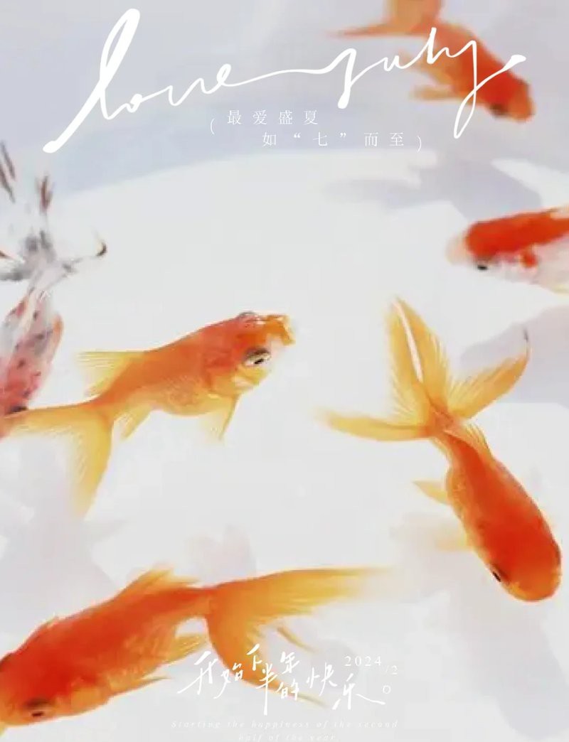 屬龍的養幾條魚好運來【屬龍人養魚數量與好運之間的關聯是一種文化寓意和傳統觀念的體現】