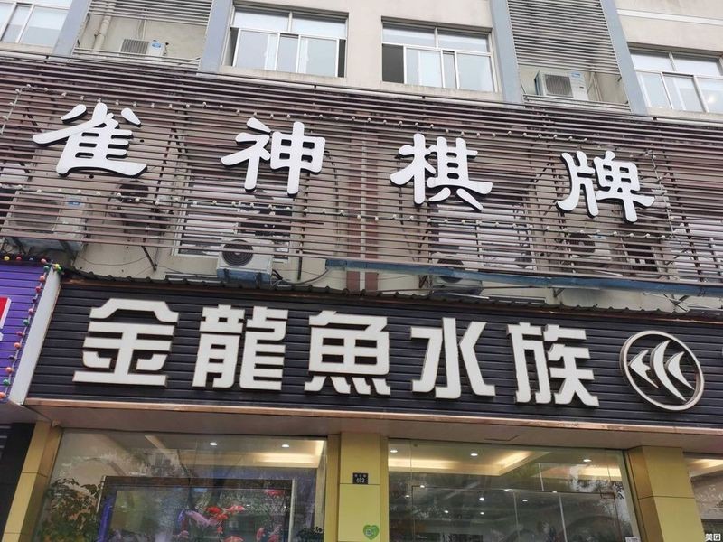 附近哪里有賣金魚的店【如何探尋附近售賣金魚的店鋪】