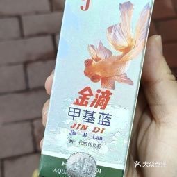 附近哪里有賣金魚的店【如何探尋附近售賣金魚的店鋪】