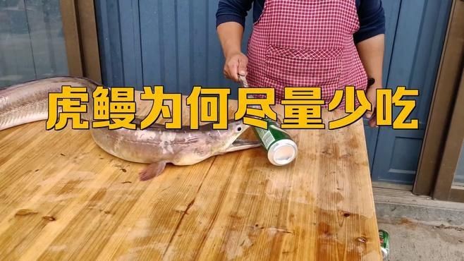 鰻魚盡量少吃的原因【鰻魚為何盡量少吃】