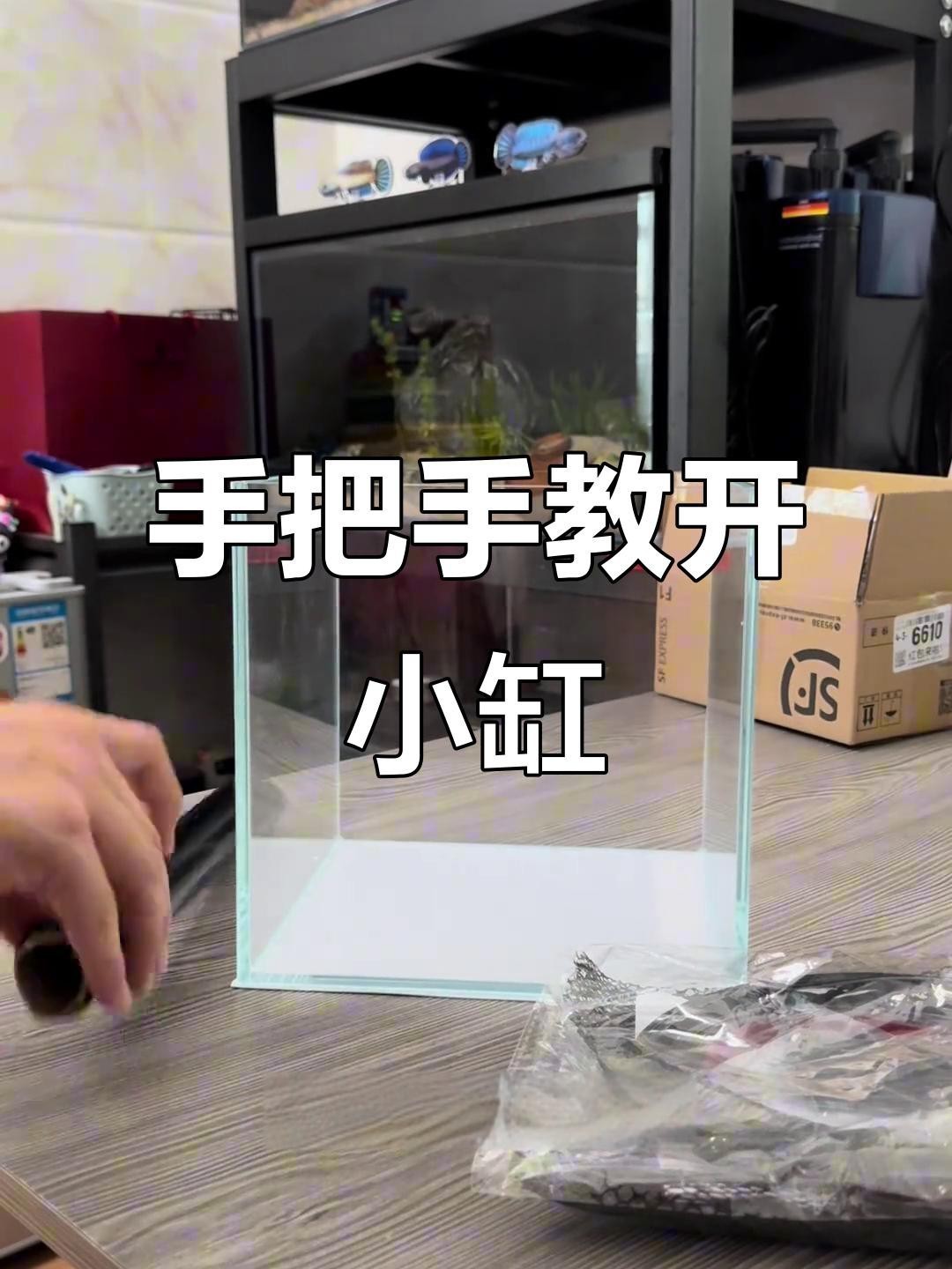 龍魚缸開缸步驟【奶茶雷龍缸開缸造景教程嗶哩嗶哩嗶哩嗶哩奶茶雷龍缸開缸教程】