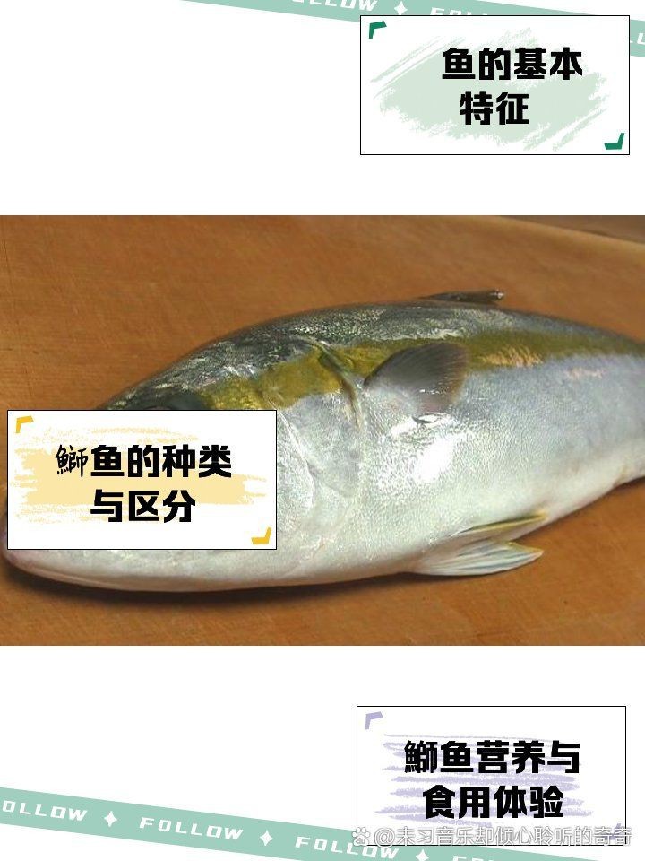 紅甘魚(yú)和鰤?mèng)~區(qū)別【紅甘魚(yú)與[需手動(dòng)填充]魚(yú)的區(qū)別】
