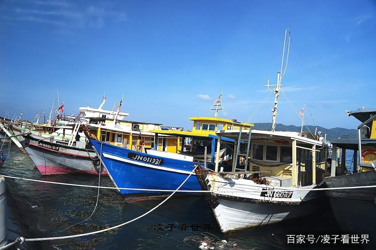 馬來西亞快魚哪里買最便宜【在馬來西亞購買快魚最便宜的地點】