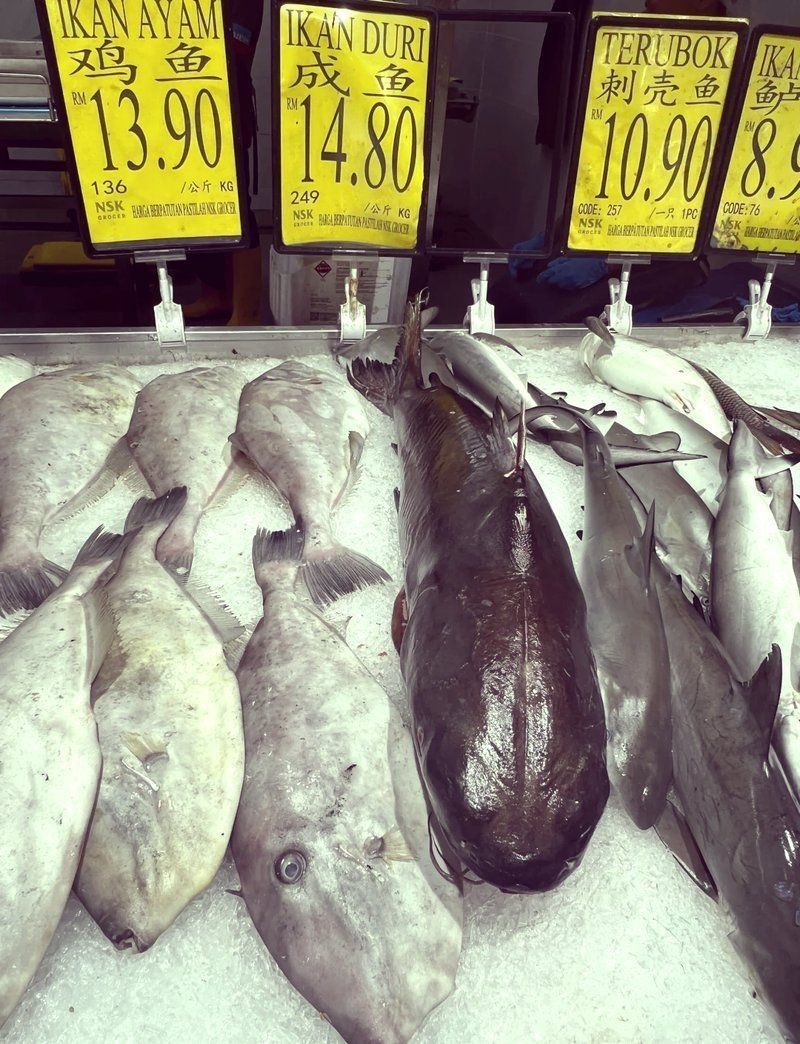 馬來西亞快魚哪里買最便宜【在馬來西亞購買快魚最便宜的地點】