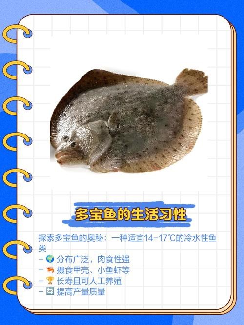 多寶魚可愛圖片【多寶魚——名貴的“海中雉雞”——多寶魚】 龍魚論壇 第13張 多寶魚可愛圖片【多寶魚——名貴的“海中雉雞”——多寶魚】 多寶魚可愛圖片【多寶魚——名貴的“海中雉雞”——多寶魚】 龍魚論壇 第13張