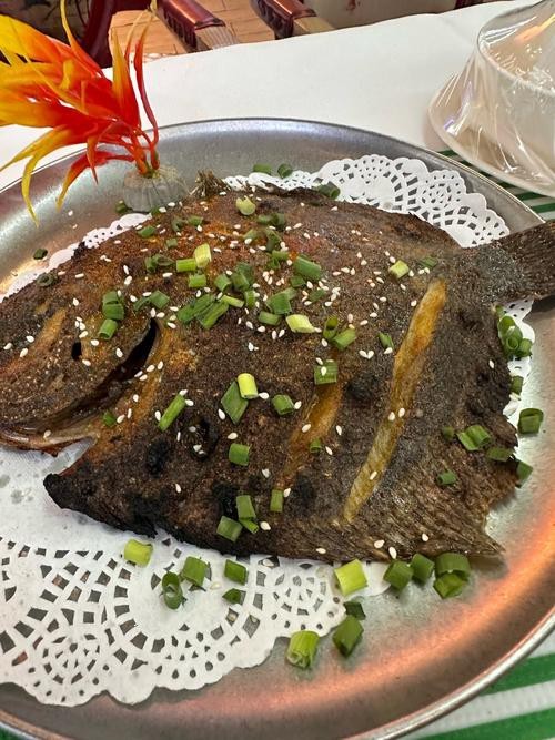 多寶魚可愛圖片【多寶魚——名貴的“海中雉雞”——多寶魚】 龍魚論壇 第15張 多寶魚可愛圖片【多寶魚——名貴的“海中雉雞”——多寶魚】 多寶魚可愛圖片【多寶魚——名貴的“海中雉雞”——多寶魚】 龍魚論壇 第15張