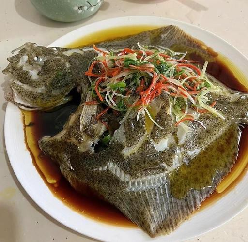 多寶魚可愛圖片【多寶魚——名貴的“海中雉雞”——多寶魚】 龍魚論壇 第20張 多寶魚可愛圖片【多寶魚——名貴的“海中雉雞”——多寶魚】 多寶魚可愛圖片【多寶魚——名貴的“海中雉雞”——多寶魚】 龍魚論壇 第20張