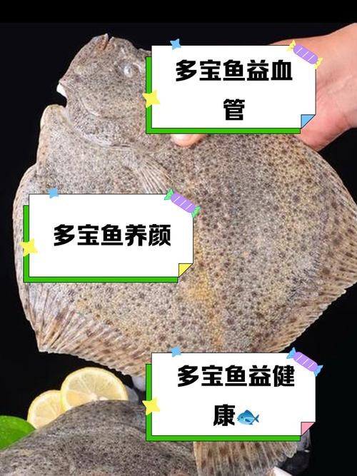 多寶魚可愛圖片【多寶魚——名貴的“海中雉雞”——多寶魚】 龍魚論壇 第21張 多寶魚可愛圖片【多寶魚——名貴的“海中雉雞”——多寶魚】 多寶魚可愛圖片【多寶魚——名貴的“海中雉雞”——多寶魚】 龍魚論壇 第21張